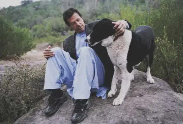 #creatorsearchinsights # #freeimrankhan # #jumanjichallenge #