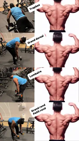 Le dos aux haltères #musculation #musculação #Fitness #fit #sports #training #workout #muscu #gym #academia #bodybuilding #chestworkout #chestday #fitnessmotivation #fypシ #fyp #warmup #conseils 