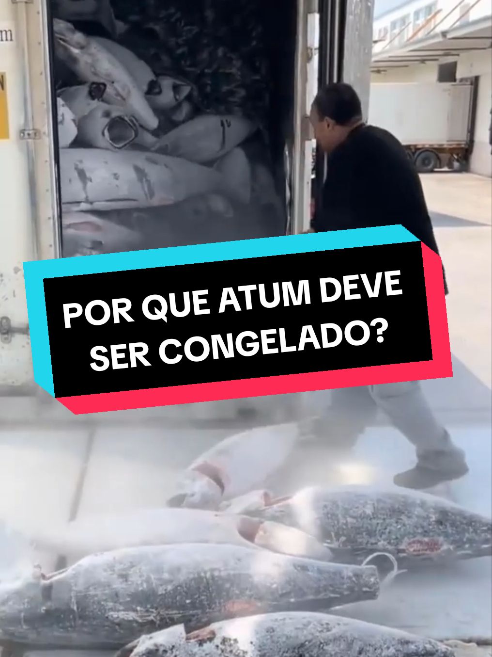 3 coisas que você não sabia! #curiosidades #trabalho #divertido #moda #tecnologia 