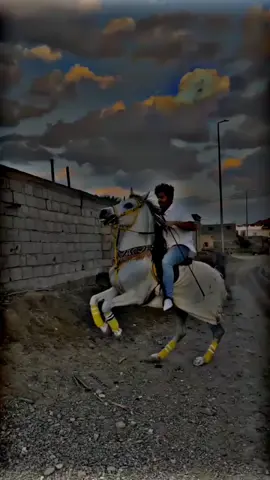 #✌️❤️😎😘 #shooter #stich #duet #foryou #like #fyp #viral #😎😘❤️✌️#shooter 