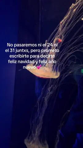 #tiktokponmeenparati #paratiiiiiiiiiiiiiiiiiiiiiiiiiiiiiii #parati #pinchetiktokponmeenparati #paratii #amigos #amigas🤞🏻💕 #amor❤️ 