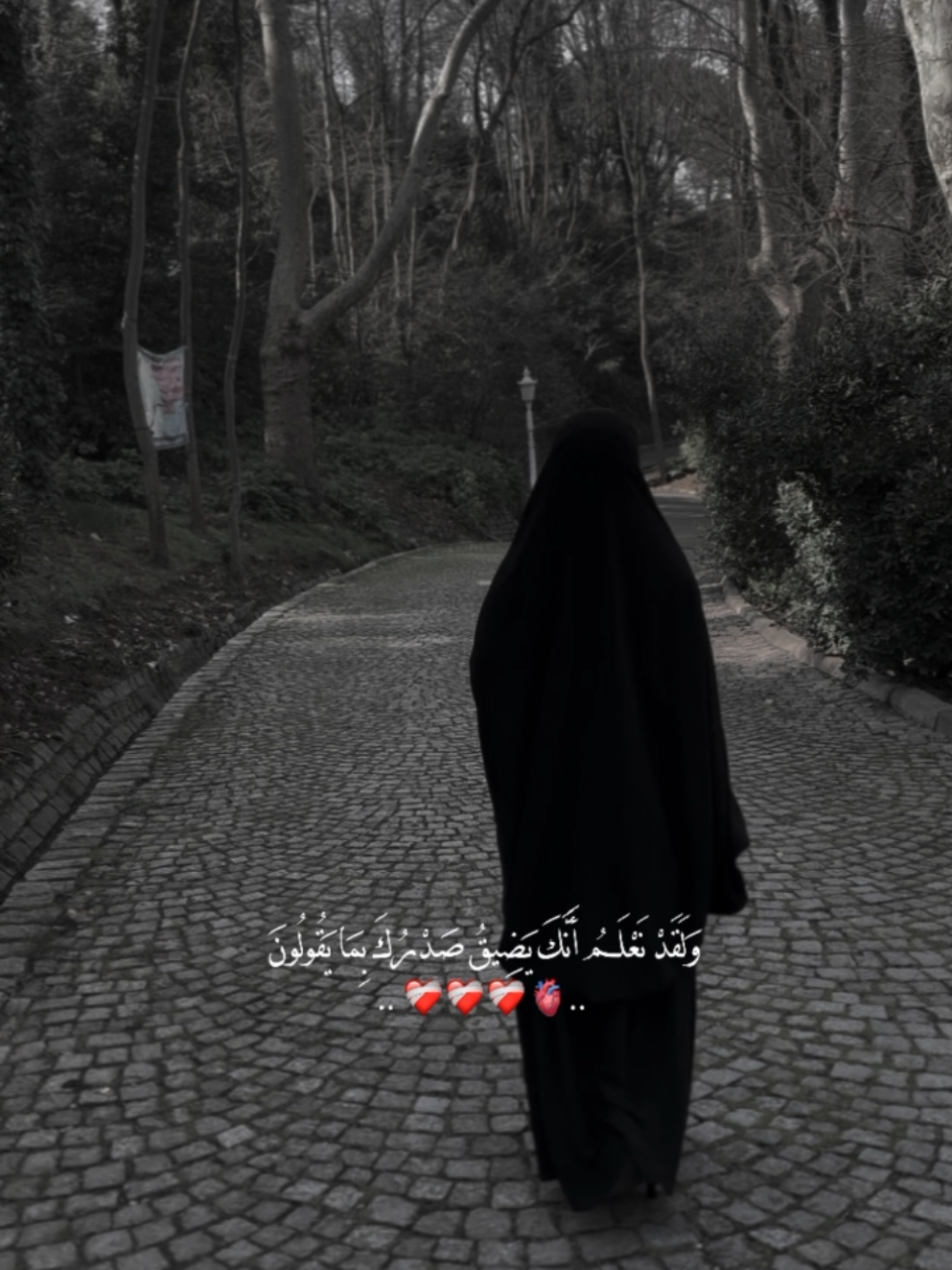#اللؤلؤة_البيضاء #مقاطع_بدون_موسيقى #حزينہ♬🥺💔 