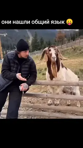 мужик общается с козлом 🤣# юмор 👍# смешное видео 😛# приколы 🤭# funny 😁# @🔥DANJA🔥 