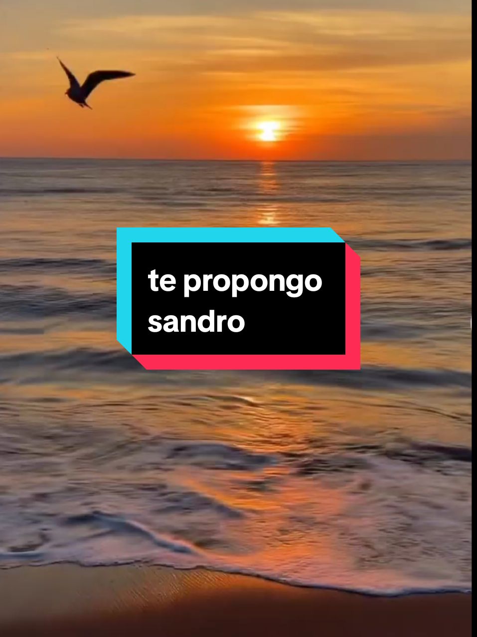 te propongo una canción inolvidable de Sandro. un recuerdo para disfrutar #tepropongo #Sandra #cancionesdelrecuerdo #cancionesparaelalma