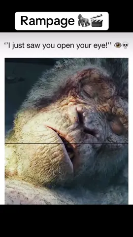 #rampage #fyp #foryоu #movieclips🎬 #dailyuploads #filmclips #therock #thememelab 