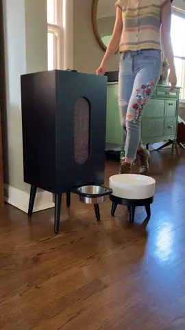 Modern dog feeder. Houndsy.com #midcenturymodern #interiordesign #dogfeeder #dogsoftiktok 