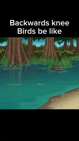 Family guy backwards knee birds #familyguy #bestmoments #funny #random #birds #backwards #knee 