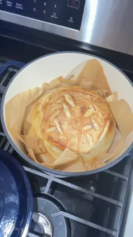 I became a baker overnight 🥖 #sourdoughbread #sourdoughtok #sourdough #fy #sourdoughforbeginners 