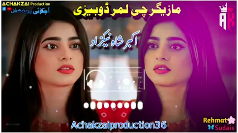 part 6 | مازیگر چی لمر ڈوبیزی نازک نور شائستہ کیزی اکبر شاہ نیکزاد نیوی سندرہ akbar shah nikzad new song #pashtosong #pashtotapay #akbarshah #fyp #foryou #trending #viral #Achakzaiproduction36 plz support me 