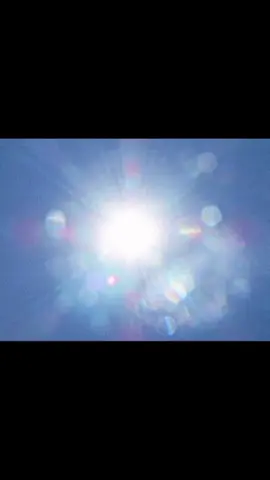 Ugh stupid fever..academics..ive been away for too long ☹️#windowsxp #pinkpantheress #jayceeonjupiter #cockatiel #vhs #vhsedits #tohellwithit #pinkpantheressedit #cockatielsoftiktok #elfontheshelf #★★★ #fypシ #xcyzba #fypシ #dreamcore #nostalgia #childhoodmemories #iwassick 