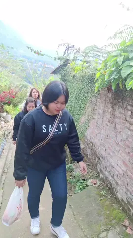 #vietnam #sapa #သူငယ်ချင်းတွေနဲ့ #ဟိဟိ🤭🤫 ပလောင်မလက်ဖက်အကြောင်းရှင်ပြနေပုံ