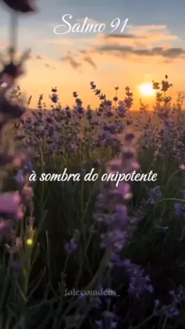 #bomdiaaaaa #gratidão #reflexão #amor #bomdia #bomdiacomdeus #oração #fycristao 