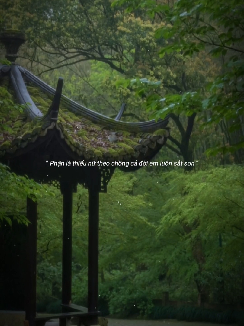 Bài mày cuốnn...!#nhachaymoingay #nhacchill #nhactamtrang #tamtrang #remix 