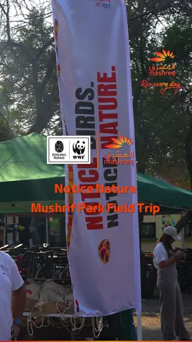 What an incredible day at the Notice Nature field trip! Our NEO NXT families explored the beauty of Mushrif Park, learned about local biodiversity, and documented rare species like the Silky Sugar Ant, Arabian Green Bee-Eater and Plain Tiger Butterfly. Thank you to all the young explorers for making this day memorable! Together, we’re fostering a love for nature and conservation. لقد كان يوماً رائعاً أثناء رحلتنا الميدانية لمبادرة راقب الطبيعة 
