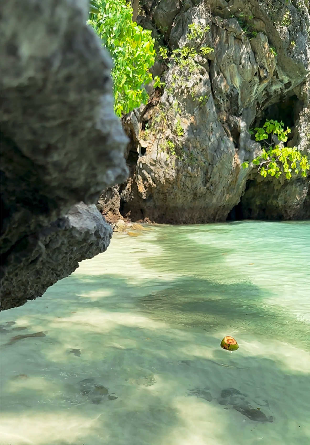 A stolen moment in the heart of a hidden Eden… 🥥🌴 📍Koh Lao Lading - Krabi , Thailand 🇹🇭 . . #thailand #thailandtravel #beachvibes #islandlife #tropical #nature #secretbeach 