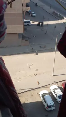 #القران_الكريم_راحه_نفسية😍🕋 #الشعب_الصيني_ماله_حل😂😂 #هتقلب_عشان_قران♥️🤲 