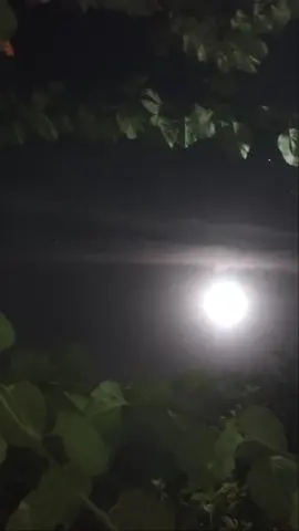 #quran #ولسوف_يعطيك_ربك_فترضى #القرآن_الكريم #القران_الكريم #قران_كريم_ارح_سمعك_وقلبك #قران #quranvideo #قرآن_كريم #القرآن #القران #قرآن #قران_كريم #quran_alkarim #احمد_العجمي 