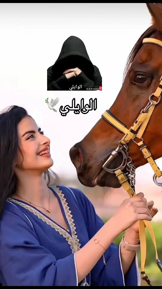 #🕊️🕊️🕊️🕊️🕊️ 