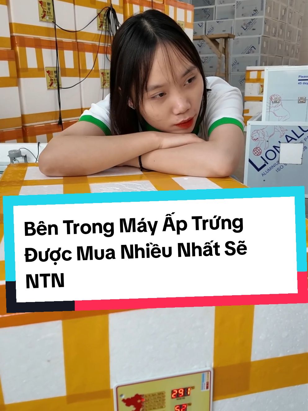 Máy Ấp Trứng Tự Động Thùng Xốp Được Tin Dùng Nhiều Nhất Sẽ Như Thế Nào! #mayaptrung #mayaptrungga #mayaptrungmini #mayaptrungtuyenquang #xuhuong 