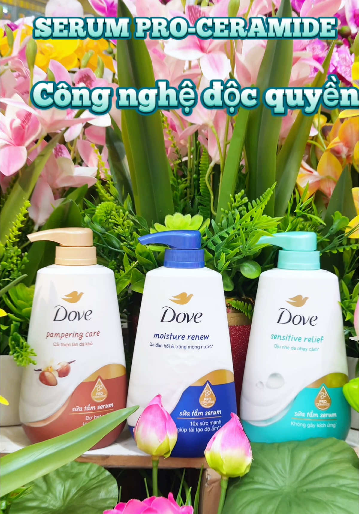 Coop Long Xuyên #dovedorothy #Unilever #unileverpremium #viraltiktok #Dove 