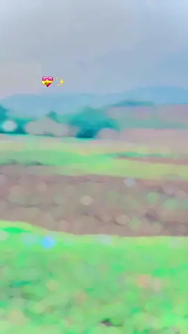 #foryou #viraltiktok #fypシ #foryou #viralvideo @Malik Waseem @ملک  ظہیر اعوان 🦅 