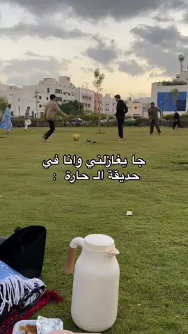 يعني ما ادري ايش اقول  #رياكشنات #explore #foryou #اكسبلور #2024tiktok #tiktoktravel #learnwithtiktok #tiktok #حديقة_الحارة #اخويا_انا_فقيرة_وانتا_فقير 