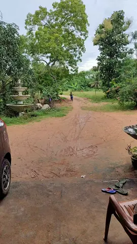 ❤️❤️❤️අපේ සුදු මහත්තයාගෙ වැඩ❤️❤️❤️❤️#❤️❤️❤️trendingsong #viral #viraltiktok #srilankan_tik_tok🇱🇰 #onthisday #1millionaudition 