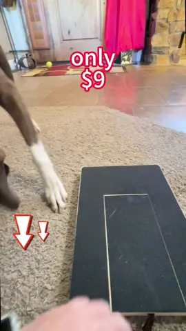Take care of your dogs nails with this scratching post! The treats hidden inside encourage the dog to use the sand paper surface to manicure their own nails. #dogscratchboard #dognailclipping  #dognails  #clippingmydogsnail 