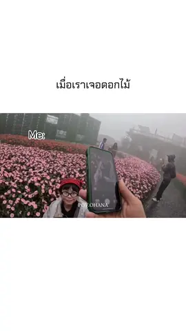 Dostdun เที่ยวเวียดนามกันทั้งออฟฟิศ #โอฮาน่า #มีมโอฮาน่า #มีมไทย #ohana #pov #fyp 