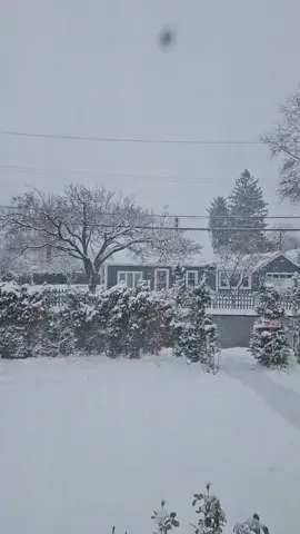 snow before Christmas ❄️❤️