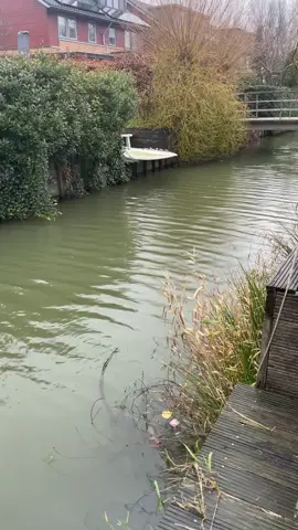 🎣This is such an amazing Rod😆 #fishing #fish #pocketrod 