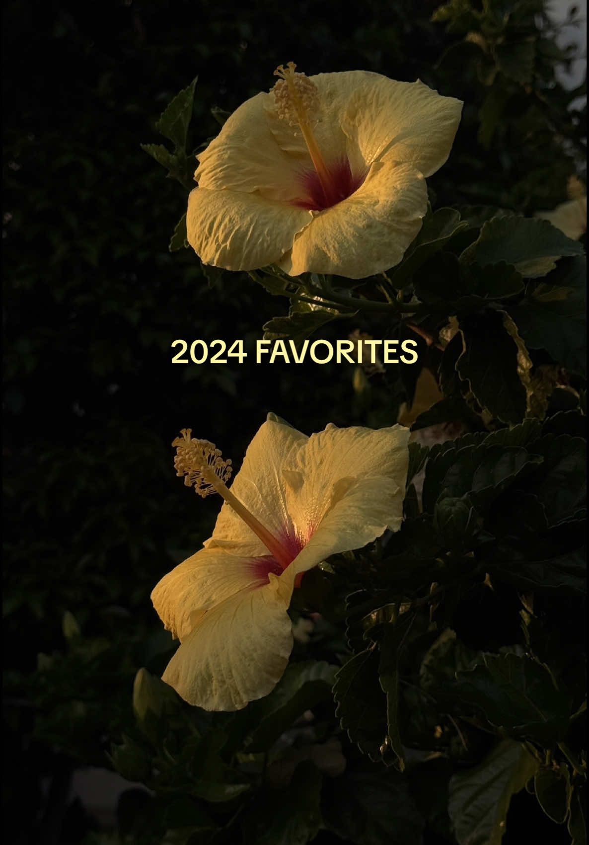 a quick round up of some of my favorite products and pieces of 2024 🫂 @LE LABO Fragrances @Oak Essentials @Saltyface @Rothy’s @U Beauty Skincare @RŌZ Hair @madewell @Apparis @HEAVEN MAYHEM @SALT & STONE #2024favorites #decemberfavorites #favoritethings 