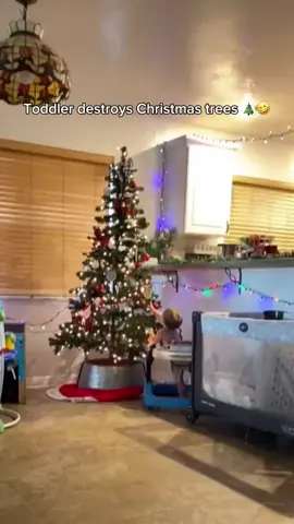 Toddler destroys Christmas tree #funnybaby #baby #funny #toddlersoftiktok #funnyvideo #funny #christmas 