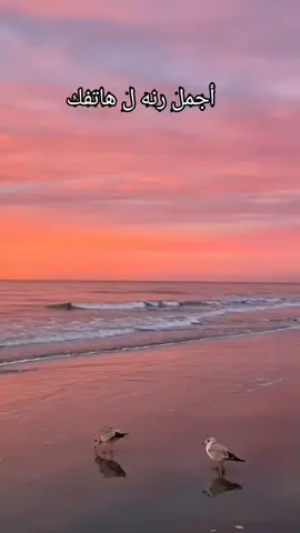 #موسيقى #رنه #حالات_وتس #موسيقى_هادئه #اجمل_رنه#حالات #حركة_الاكسبلور #ترند 