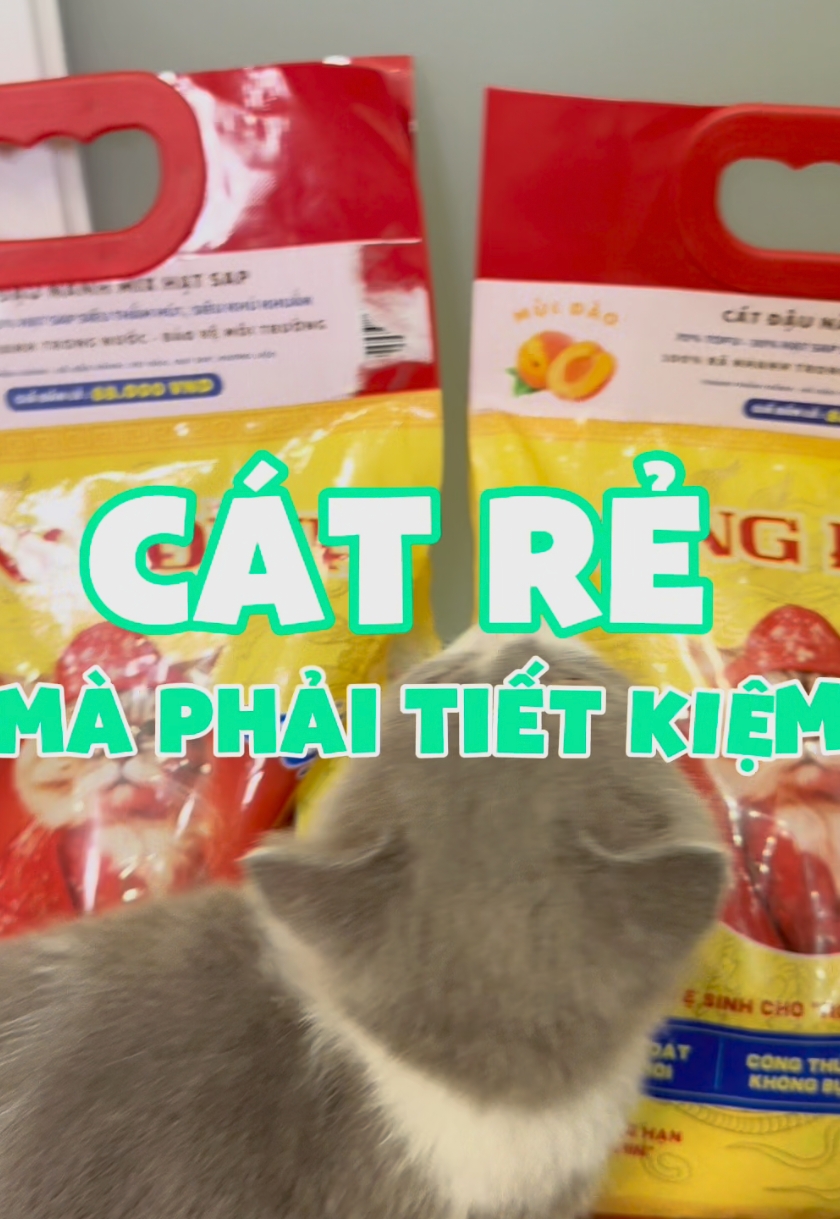 Combo 3 Cát mix hạt SAP giá đang có 200k #xh #catchomeo #catvesinhchomeo #catcungdinh #nuoimeo #meo 