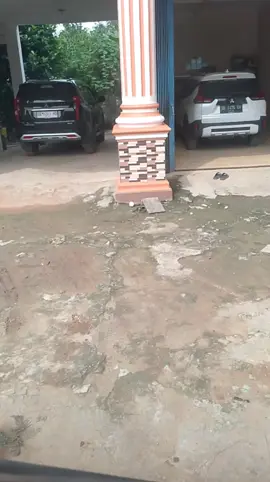 kerjo bolo Mergo bondo ora di wiwitti ko wong tuoo.