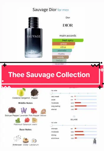The Sauvage Line 🌶️ EDT, EDP, Parfum, Elixir & Eau Forte @Dior @Diorbeauty #fragrancetiktok #explore #foryou #fyp #sauvage #diorsauvage #dior 