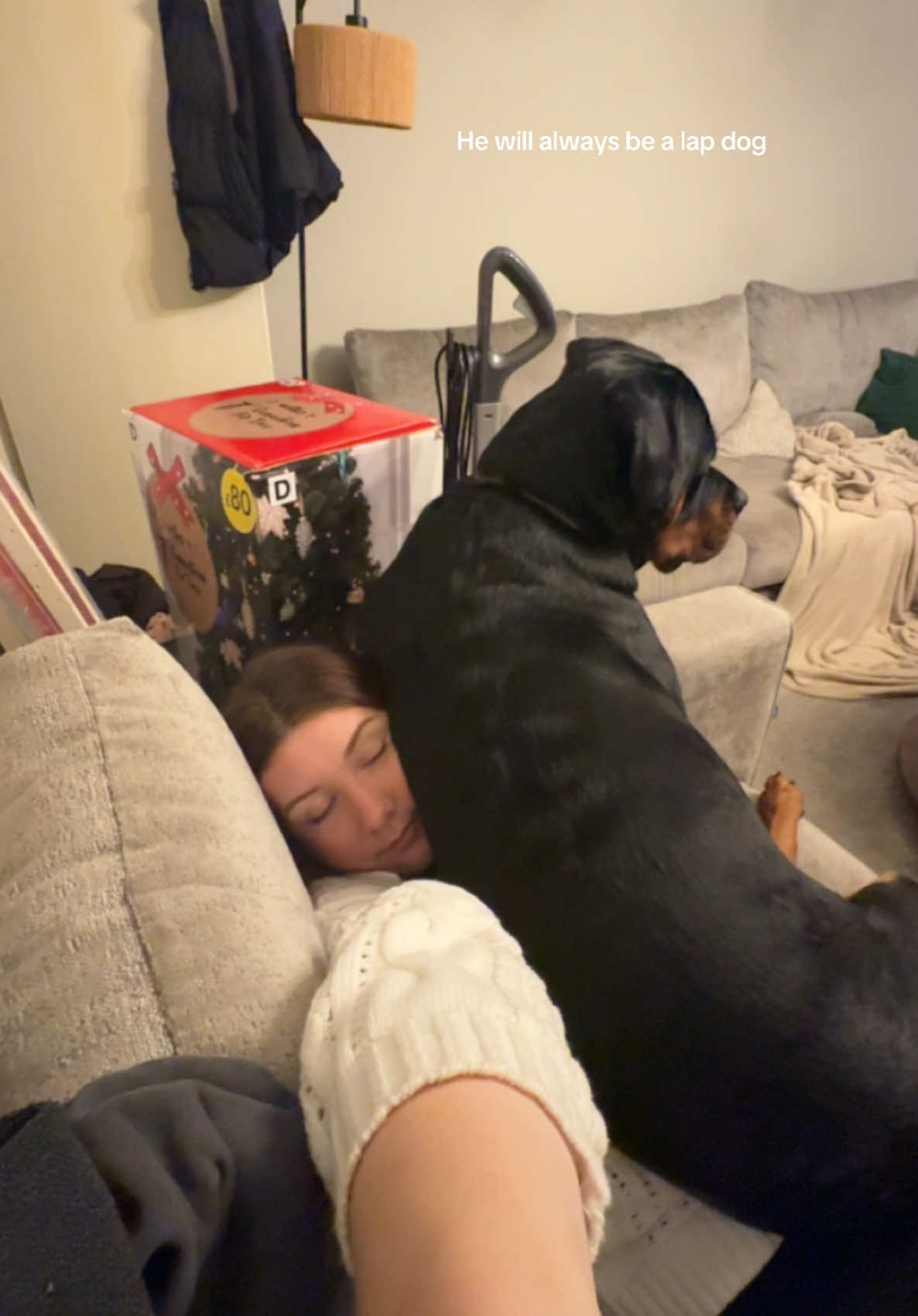 Hes scared of the wind 🥹🥲  #fyp #rottweiler #memestiktok #cute #fypシ゚viral #CapCut #dogsoftiktok #dog 