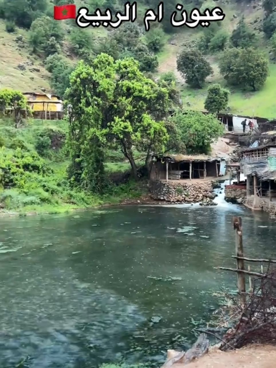 #عيون_ام_ربيع من أجمل المناطق  السياحية بالمغرب خنيفرة . . . . . . . : . .#عيون_ام_ربيع #المغرب #الاطلس  #امازيغ #fouryou #explore #خنيفرة #مريرت #المغرب🇲🇦تونس🇹🇳الجزائر🇩🇿 #ام_الربيع #viral_video #tiktokviral #السياحة_المغربية #khenifra #مشاهدات_تيك_توك 