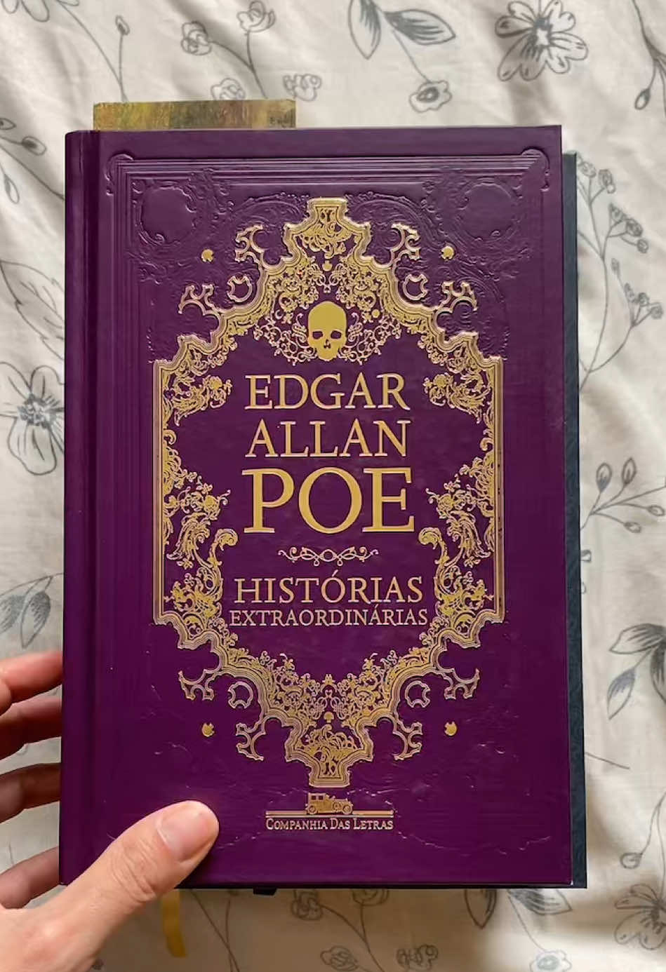 Tenho vários outros na lista mas me indiquem mais! #livros #BookTok #gothic 