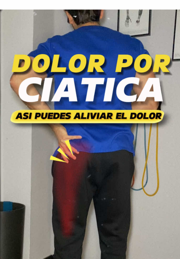 ❗️👇🏽FALSA CIÁTICA👇🏽❗️ 👉🏼 Se caracteriza por generar dolor por la parte posterior del muslo y la pierna sin superar la rodilla. 🔎 El diagnóstico diferencial será clave ya que puede generarse por distintas patologías: lesiones de disco y problemas articulares entre otros. 💪🏼 Te muestro un ejemplo de ejercicio que puede ayudarte a disminuir los síntomas. Puedes realizar rondas de entre 10-20 repeticiones. 🚨 Recuerda que es un ejemplo de ejercicio y que lo ideal es que un profesional te valore y te recomiende en base a tu caso específico. ❗️SÍGUEME PARA MÁS❗️ #ciatica #lumbar #pierna #ejercicio #muslo #fisio #gym 