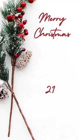 case 21 #tracywolff #calendrierdelavent #BookTok #romans #books 