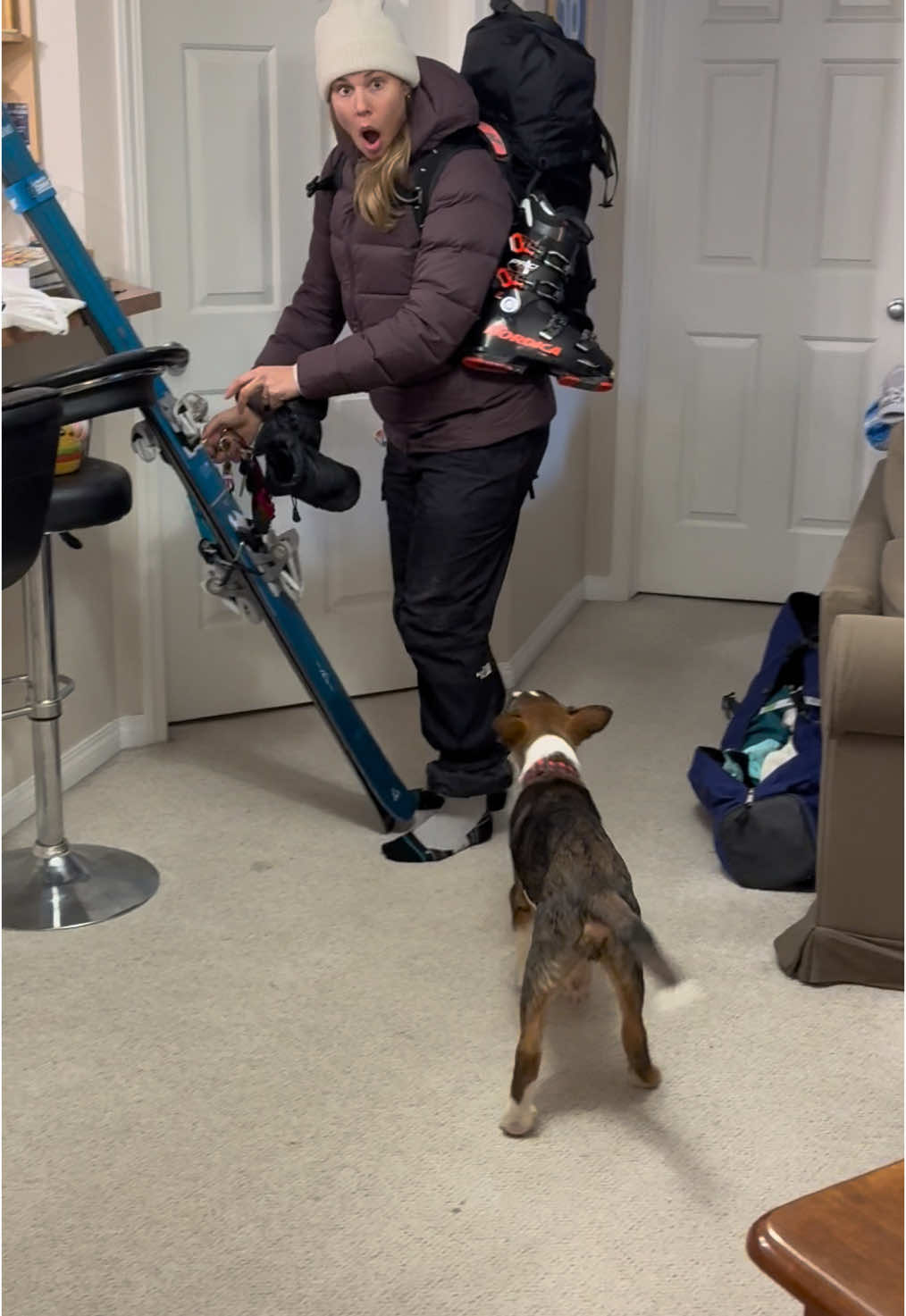 A dog with a forever home 🐶🤎 #fyp #dogsoftiktok 