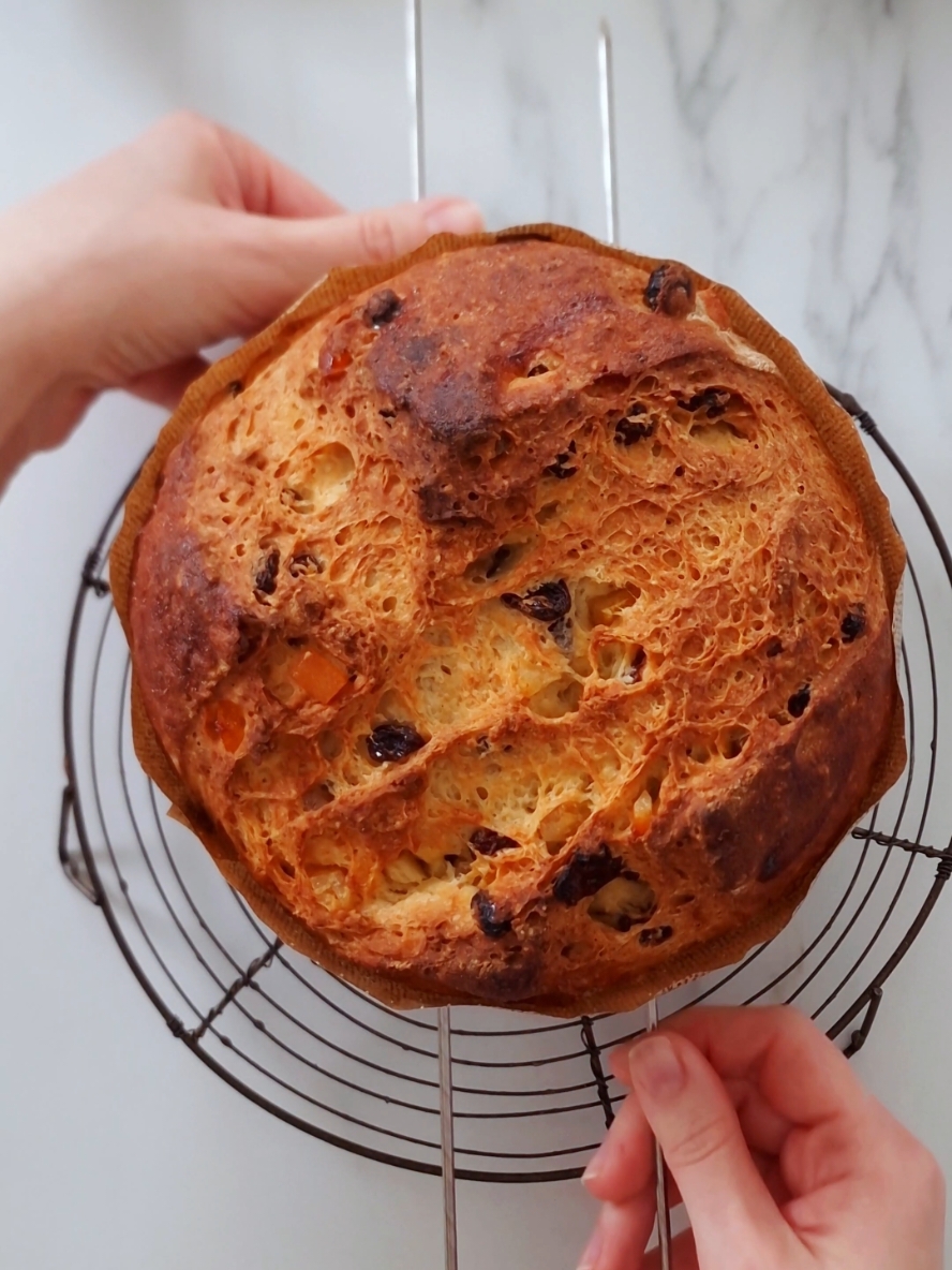 gluten-free panettone 🤤🫶 I've tested this recipe so many times I'm slowly turning into a panettone myself 😂 but this final version is PERFECT: soft and fluffy, with a light, plush crumb generously studded with candied citrus peel and raisins – and it's surprisingly easy to make!! #panettone #christmasbaking #glutenfree #christmas 