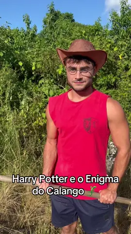Os comentarios é com vocês #videoviral #harrypotter 