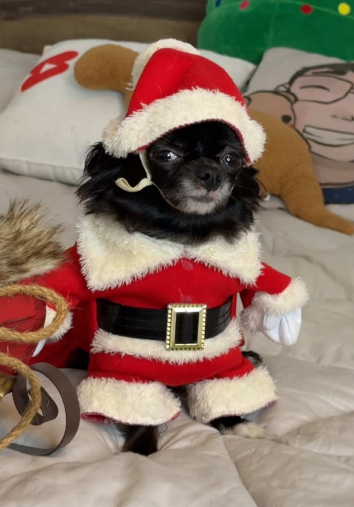 SANTA PUDDIN IS HERE AGAIN 😱🎅🏼