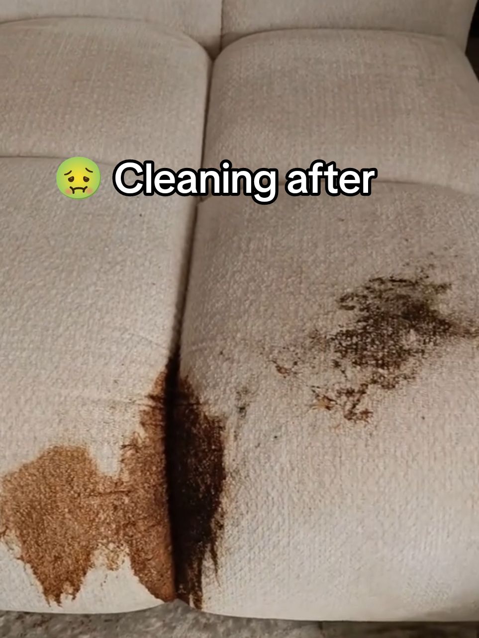 Sofa Cleaning after party Limassol  Чистка дивана после вечеринки Лимассол #cyprustiktok #beforeandafter #химчистка #limassol_cyprus #cyprus🇨🇾 #limassol #upholsterycleaning #top #deepclean #1 #лимассол #upholsterycleaning #top #karcher #химчисткамебели #HG 