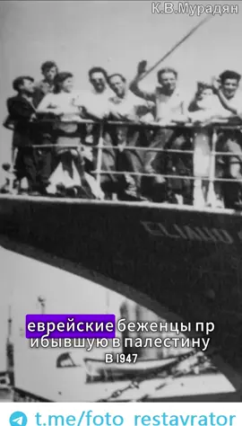 НЕБЛАГОДАРНЫЕ ЕВРЕИ #ПАЛЕСТИНА #израиль🇮🇱 #РОССИЯ #АРМЕНИЯ