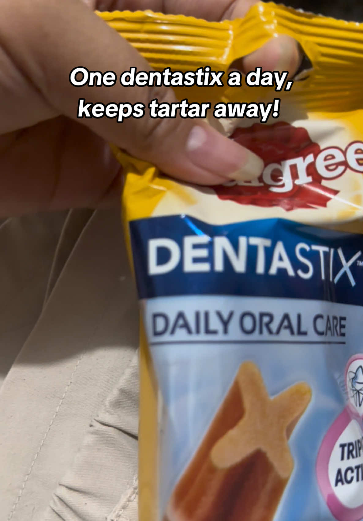Keep their dental care in check with #pedigree #dentastix oral care!  Check out now in my basket to get yours for your #furbaby  #mandlathelabchow  #oralcare #dogsoftiktok #furlove #dogtreat #pedigreeph 