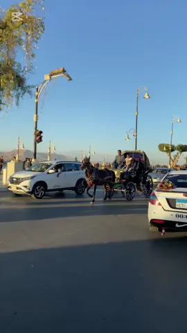 انا بلدي .. بلد الخير والطيبه✨♥️ #الأقصر #luxor 